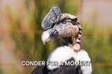 3-andean-condor-philippe-psailascience-photo-library