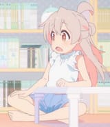 1732893477514801