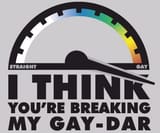 gaydar 1
