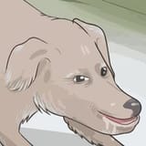 1 (2)