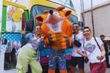 Gay Crash