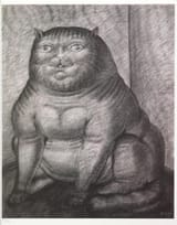 die janitor eternil