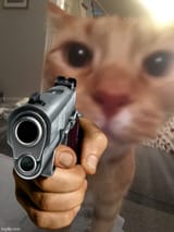 cat gun