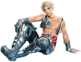 vaan&#039;s pits