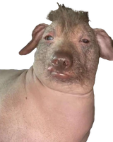 20210904_172652