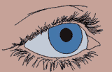 eye-roll-cartoons