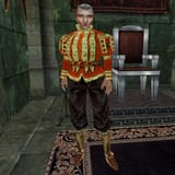look at this dude&#039;s tunic, tell me he doesn&#039;t have the most punchable face in Nirn