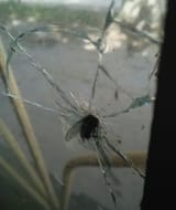 terminalvelocity