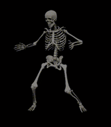 skeleton-dance-skeleton