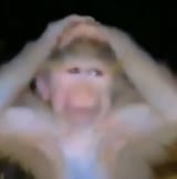 GnAsSu1bAAASM32
