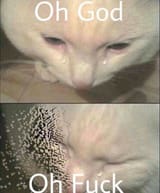 1732387162865383
