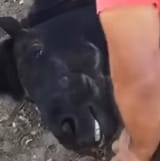 Screenshot_20250621_191015_YouTube
