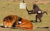 1738779691098452