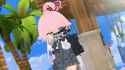 Hoshino Battle Dps Zoom_thumb.jpg