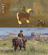 RDR2 vs BOTW