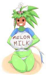 Melon milk