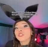 bunny fact