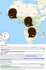 africa_nigs