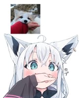 Gt9nsqJbYAEF71D