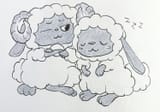 woolyzzz