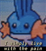 mudkip simply lives with the pain