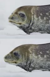1745128175849964