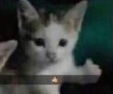 342