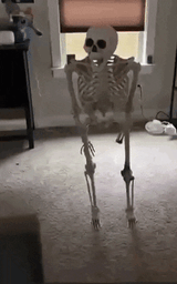 skeleton-reaction