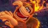 dk