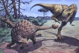 Ankylosaurus-01