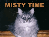 arfenhouse-misty-time