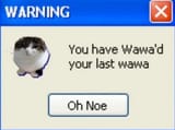 wawa