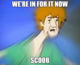 1739342735790221