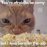 corny