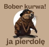 bober1