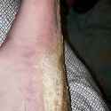 1725570547167196_thumb.jpg