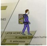 wr54dbcetwm31