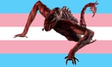 trannymorphs