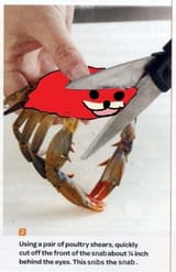 snib_the_snab
