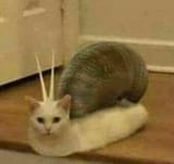 1542923732198