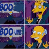 boourns