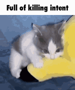 1723465303125781
