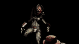 predator-hunting-grounds