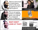24556532