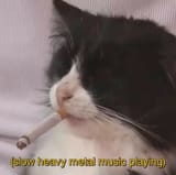 (slow heavy metal music playing)