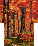 EO2U_Auburnthicket_day