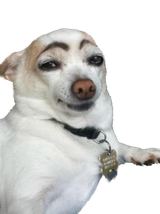1672484029844115
