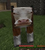 cowhd