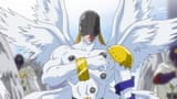 angeCHAD
