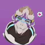 vetra wink